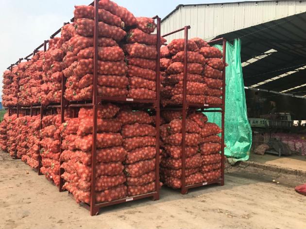 loading of fresh onion (2)