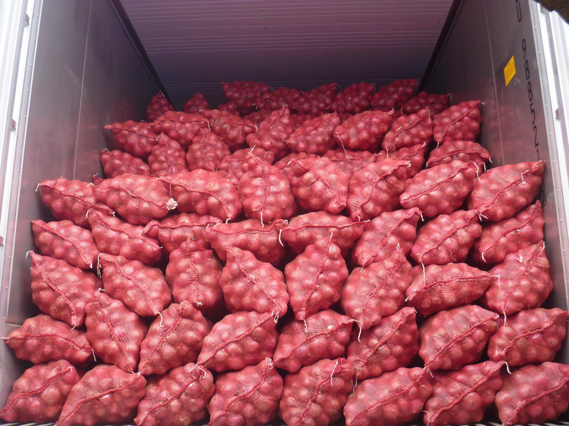 loading of fresh onion