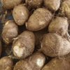 Taro