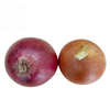 Supply cheap China 2025 crop yellow onion/red onion/purple onion