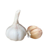 Fresh Garlic Ordinary White Garlic Wholesale 10kg Mesh Bag Fresh Garlic