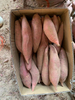 Sweet Potato