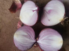 Supply cheap China 2025 crop yellow onion/red onion/purple onion