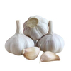 Fresh Garlic Ordinary White Garlic Wholesale 10kg Mesh Bag Fresh Garlic