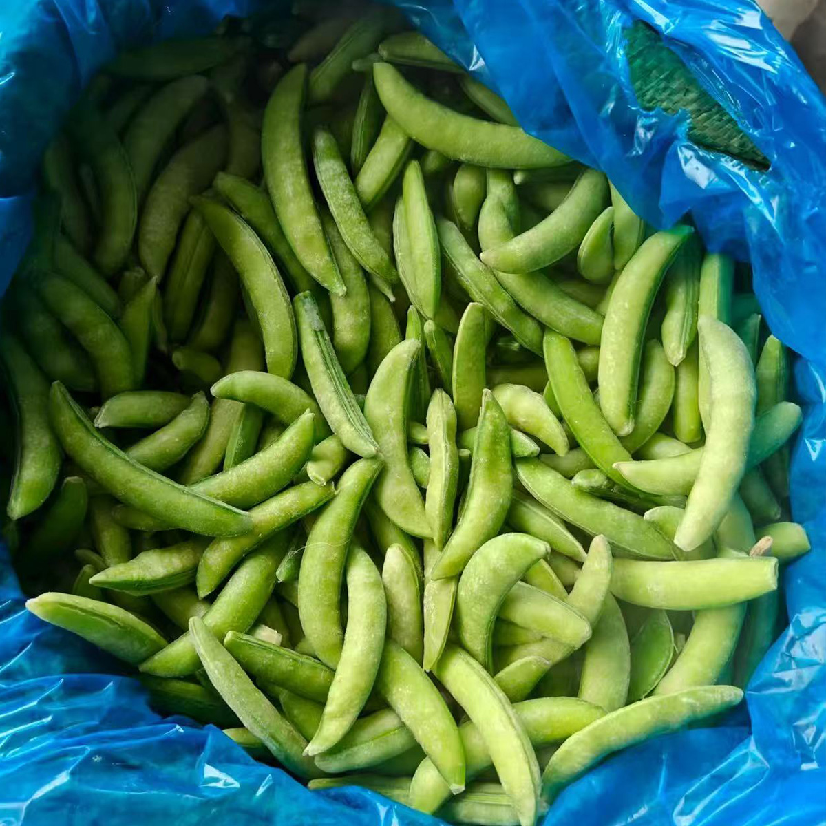 Frozen Green Soybeans
