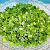 Frozen Green Onion