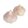 Fresh Garlic Ordinary White Garlic Wholesale 10kg Mesh Bag Fresh Garlic