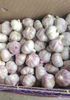 Fresh Garlic Ordinary White Garlic Wholesale 10kg Mesh Bag Fresh Garlic