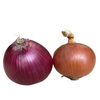 Supply cheap China 2025 crop yellow onion/red onion/purple onion