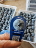 Fresh-Picked High-Quality Blueberries