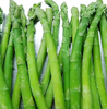 High Quality Frozen Asparagus Sprouts