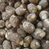 Taro