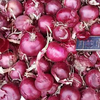 Supply cheap China 2025 crop yellow onion/red onion/purple onion