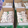 Fresh Garlic Ordinary White Garlic Wholesale 10kg Mesh Bag Fresh Garlic