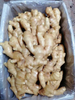 China Ginger