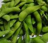 Certified Hairy Pod Green Soybean Fresh Frozen Vegetables