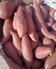 Fresh Sweet Potato