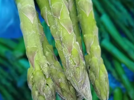 Frozen Vegetables Help Stretch Your Grocery Budget