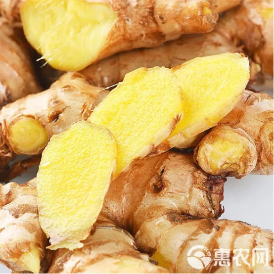 Fresh Ginger6.png