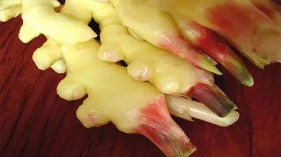 Fresh Ginger.png