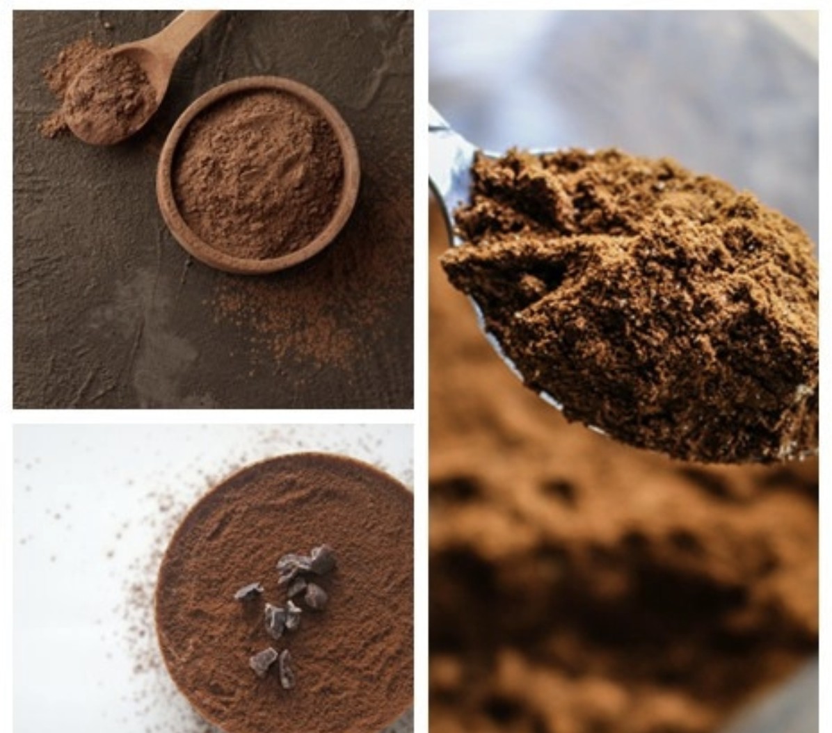 Fat Content 10-12% Cocoa Powder Alkalized.jpg