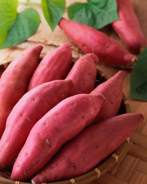 Fresh Sweet Potato